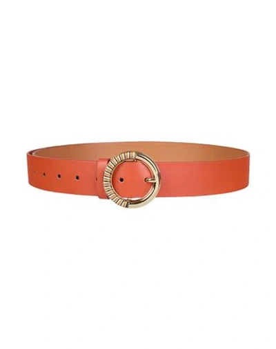 Momoní Woman Belt Tan Size M Cow Leather In Orange
