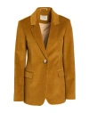 Momoní Woman Blazer Mustard Size 8 Cotton, Modal, Elastane In Brown