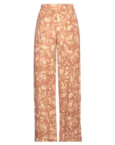 Momoní Woman Pants Antique Rose Size 8 Cotton, Elastane In Pink