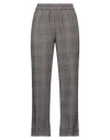 Momoní Woman Pants Brown Size 10 Cotton, Virgin Wool, Polyamide