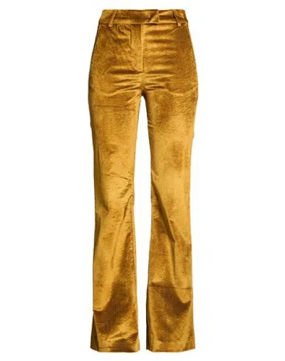 Momoní Woman Pants Gold Size 6 Cotton, Viscose, Elastane
