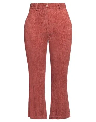Momoní Woman Pants Antique Rose Size 10 Cotton, Elastane In Pink