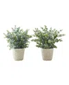 MONARCH SPECIALTIES 13" INDOOR ARTIFICIAL EUCALYPTUS GRASS PLANTS WITH DECORATIVE WHITE POTS, SET OF 2