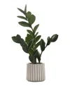 MONARCH SPECIALTIES 20" INDOOR ARTIFICIAL ZZ PLANT WITH DECORATIVE GREY CEMENT POT