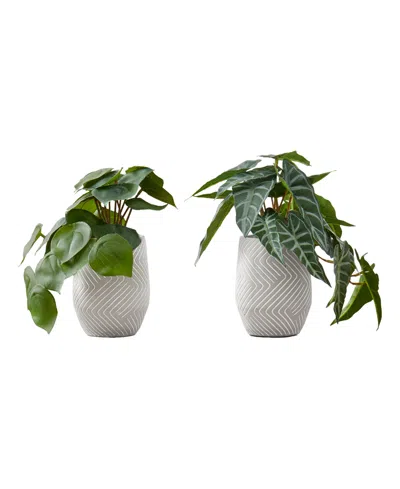 Monarch Specialties 8" Indoor Artificial Alocasia Plants With Decorative White Cement Pots, Set Of 2 In Green