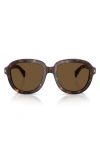 Moncler 54mm Aviator Sunglasses In Brown