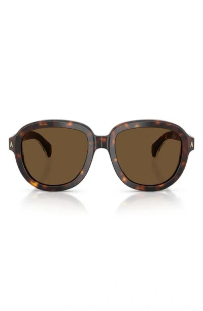 Moncler 54mm Aviator Sunglasses In Brown