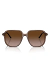 Moncler 54mm Pilot Sunglasses In Shiny Transparent Brown