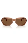 Moncler 55mm Pillow Sunglasses In Brown