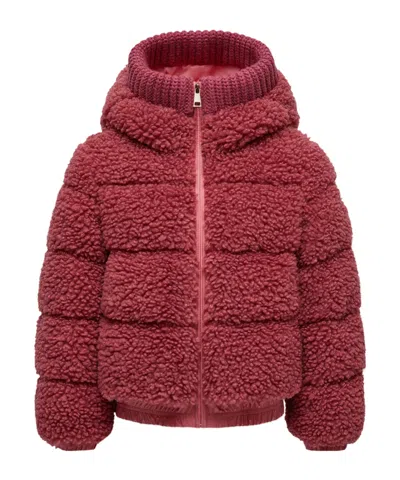 Moncler Adalbertas Teddy Hooded Down Jacket In Multi