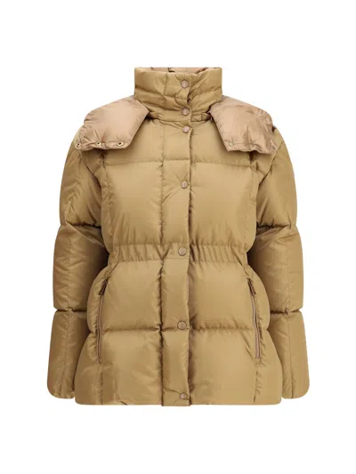 Moncler Agneux Short Jacket In Brown
