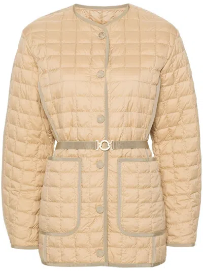 MONCLER ALLEUZE JACKET