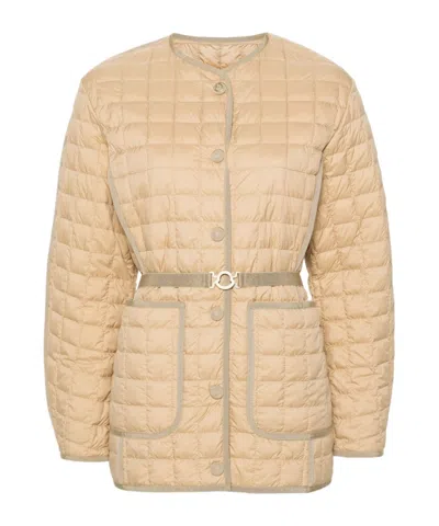 MONCLER ALLEUZE JACKET