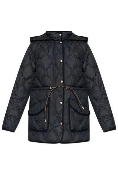 Moncler Ars Padded Jacket In Black