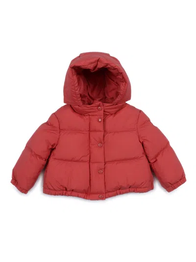 Moncler Baby Kids'  Dark Pink Laurie Jacket