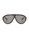 Moncler Bombolle Sunglasses In Shiny Havana