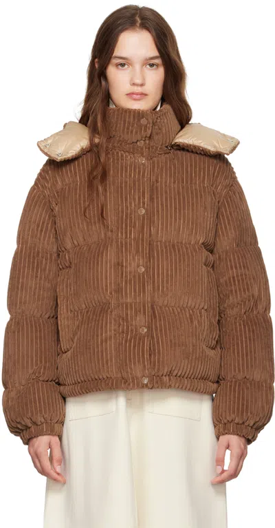 Moncler Brown Daos Down Jacket In 26i Brown