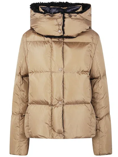 Moncler Hooded Puffer Coat Long Sleeves In Brown