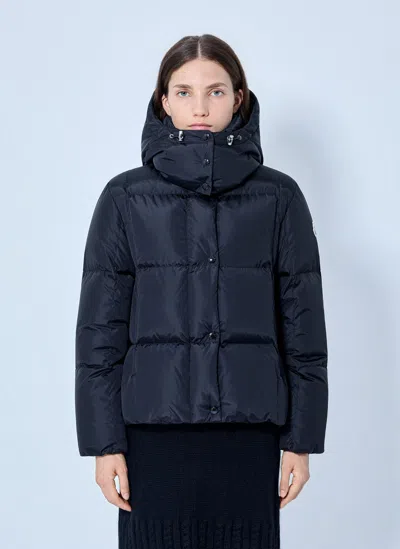 Moncler Castlenew Hooded Down Jacket In Black