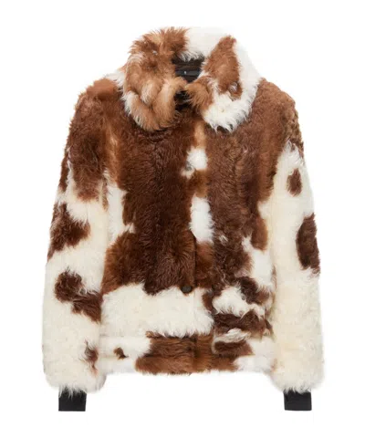 Moncler Chalanson Shearling Short Padded Jacket In Multi