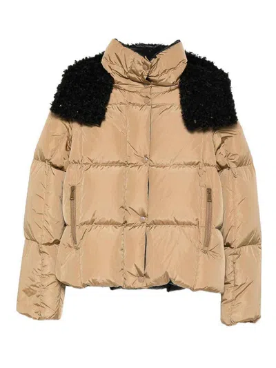 Moncler Brown Quilted Jacket In Gold