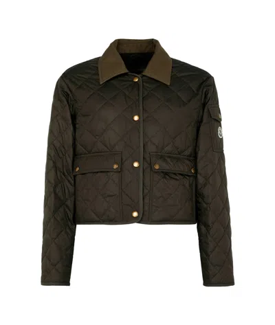 Moncler Chitre Cropped Cotton-canvas Trimmed Padded Quilted Shell Jacket In Green
