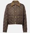 Moncler Chitre Cropped Cotton-canvas Trimmed Padded Quilted Shell Jacket In Green
