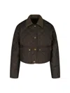 Moncler Chitre Cropped Cotton-canvas Trimmed Padded Quilted Shell Jacket In Green