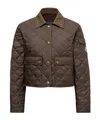 Moncler Chitre Cropped Cotton-canvas Trimmed Padded Quilted Shell Jacket In Green