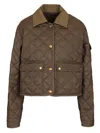 Moncler Chitre Cropped Cotton-canvas Trimmed Padded Quilted Shell Jacket