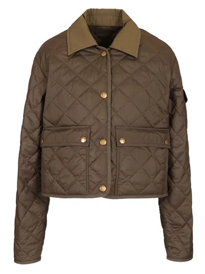 Moncler Chitre Cropped Cotton-canvas Trimmed Padded Quilted Shell Jacket In Green