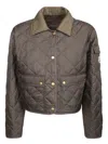 Moncler Chitre Cropped Cotton-canvas Trimmed Padded Quilted Shell Jacket In Green