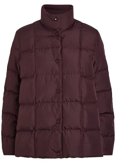 Moncler Cochevinne Padded Shell Jacket In Brown