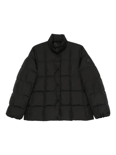 Moncler Cochevinne Quilted Jacket In Black