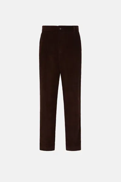 Moncler Cotton Straight Leg Trousers In Burgundy