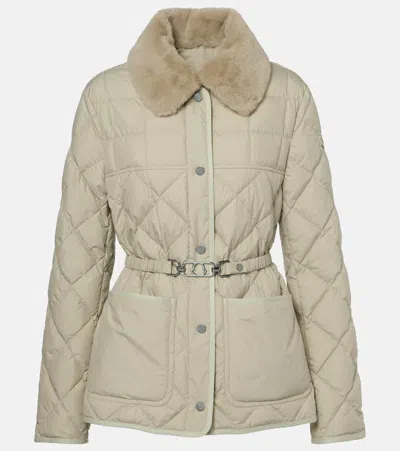 Moncler Cygne Down Jacket In Multi