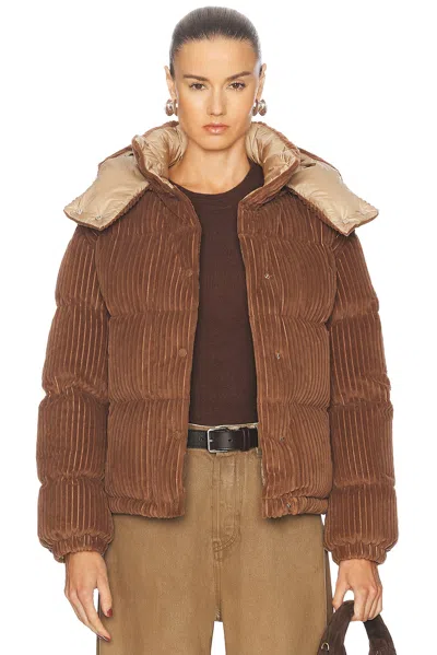 MONCLER DAOS JACKET