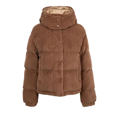 Pre-owned Moncler Daos Jacket 'brown' | Women's Size 2