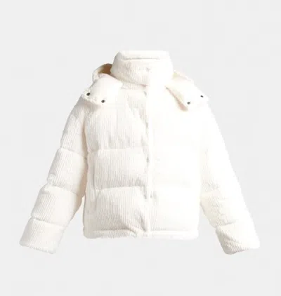 Pre-owned Moncler Daos Textured Quilted Corduroy Down Jacket, White $1,795.00