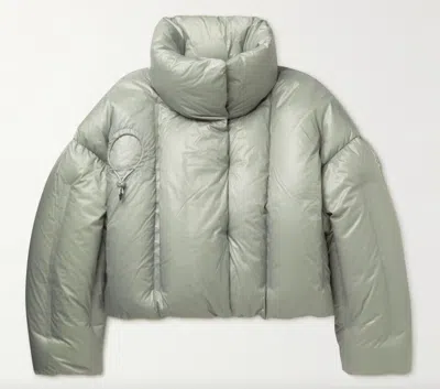 Pre-owned Moncler Dingyun Zhang Aloby Oversized Down Jacket - Grey/green Retail $2915