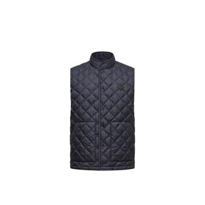 Moncler Quilted Button-fastening Vest In Blue