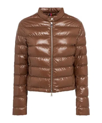 Moncler Papillon Short Down Jacket With Glossy Finish In Brown