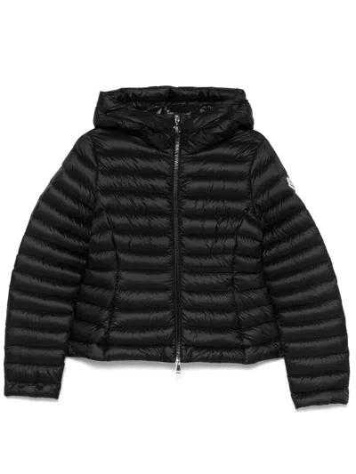 MONCLER MONCLER DOWN JACKETS