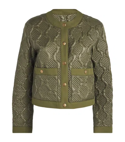 Moncler Down Libellule Jacket In Green