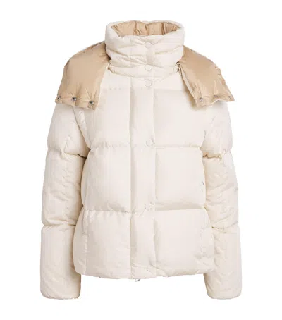 Moncler Down Quilted Castlenew Jacket In Beige