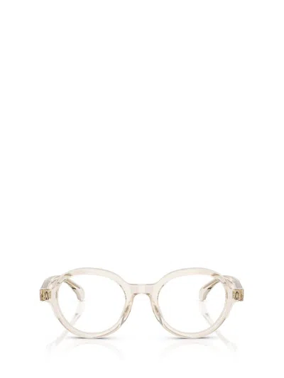 Moncler Eyeglasses In Neutral
