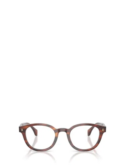 Moncler Eyeglasses In Brown