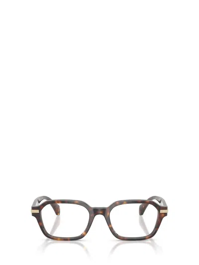 Moncler Eyeglasses In Brown