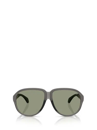 Moncler Injected Halcyonne Me8001 Sunglasses In Grey