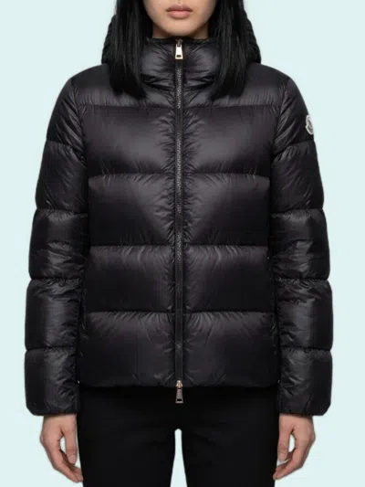 Moncler Feligule Hooded Short Down Jacket In Black